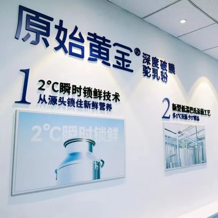 62.8℃背后的答案，原始黄金如何用低温重新定义“新质生产力” | 寻找新质生产力领跑者案例调研