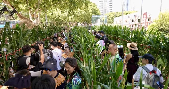 第二轮丰收在即!您有一份8月6日的掰玉米邀约请查收 第二轮丰收在即!您有一份8月6日的掰玉米邀约请查收