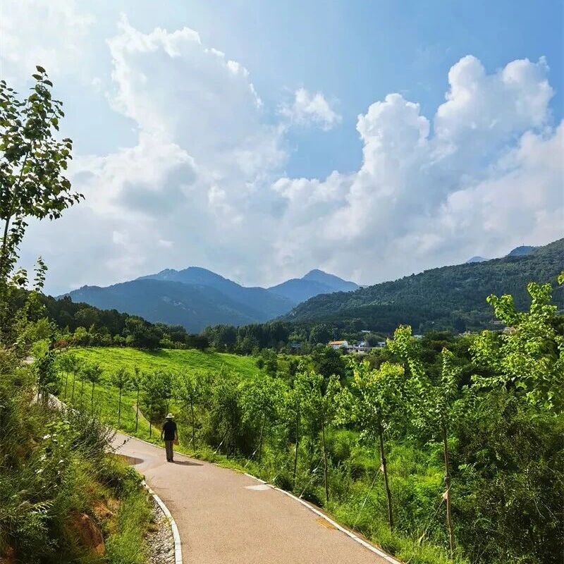 漫步虎山公园 邂逅超治愈夏日绿野 漫步虎山公园 邂逅超治愈夏日绿野
