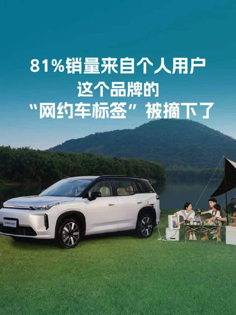 81%销量来自个人用户，这个品牌的“网约车标签”被摘下了