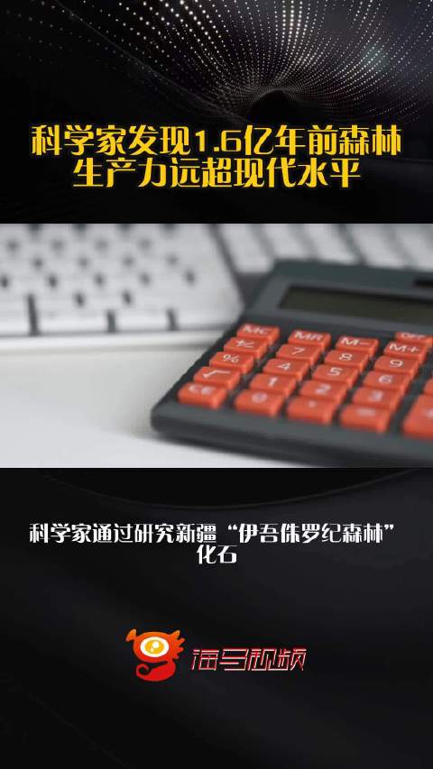 科学家发现1.6亿年前森林生产力远超现代水平