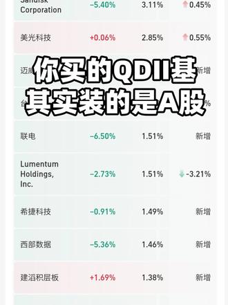 名字叫全球科技基金，实际买的都是A股... 纳斯达克 华夏全球科技 美股 基金