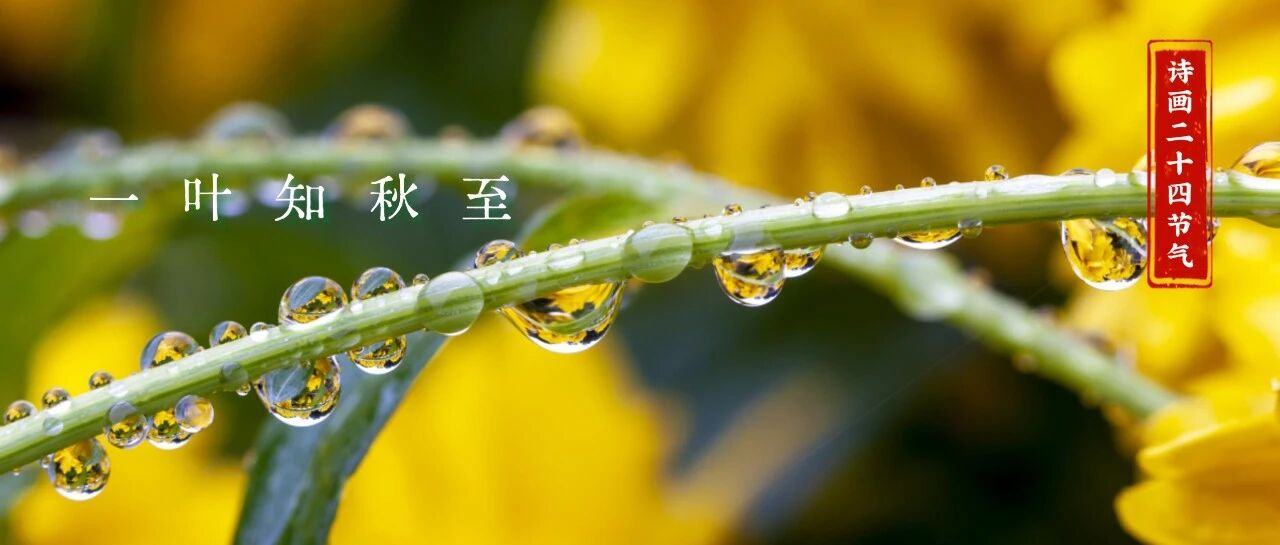 云天收夏色，木叶动秋声