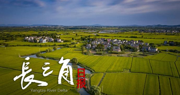【长三角日报】安徽一市委书记暗访,当场提出严肃批评 【长三角日报】安徽一市委书记暗访,当场提出严肃批评