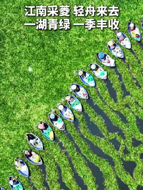 航拍视角看江南采菱好治愈