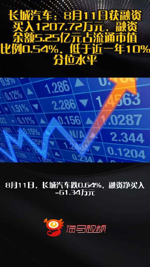 长城汽车：8月11日获融资买入1207.72万元，融资余额5.25亿元占流通市值比例0.54%，低于近一年10%分位水平