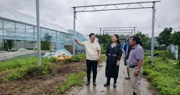 农业保险加速预赔付,守护农户灾后复产路 农业保险加速预赔付,守护农户灾后复产路