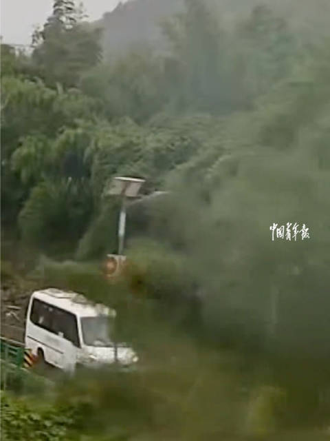“竹子在动，危险！”司机预判山体滑坡保住一车人