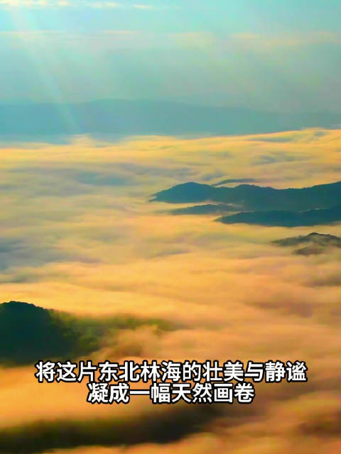丁达尔效应下的林海美如画