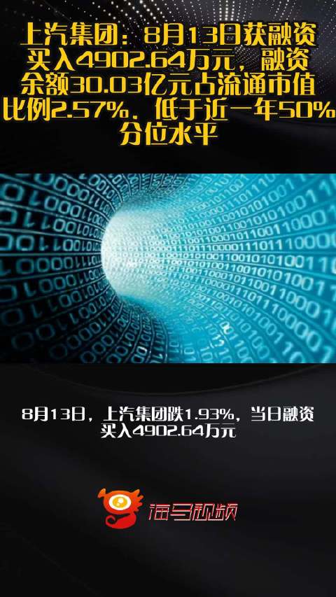 上汽集团：8月13日获融资买入4902.64万元，融资余额30.03亿元占流通市值比例2.57%，低于近一年50%分位水平