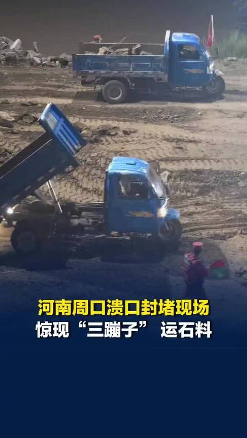 周口溃口封堵