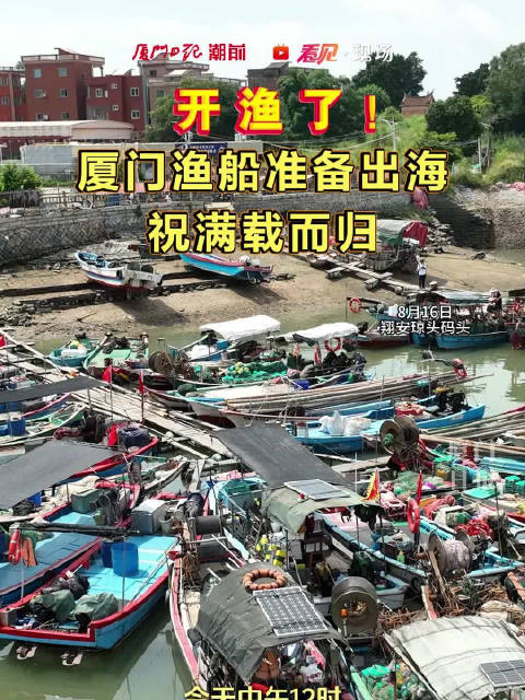 厦门人期待的海鲜季来了