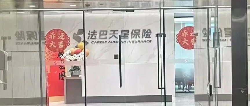 法巴天星财险首份半年报出炉：背靠法巴、小米和大众，半年保费821万却亏了5000万