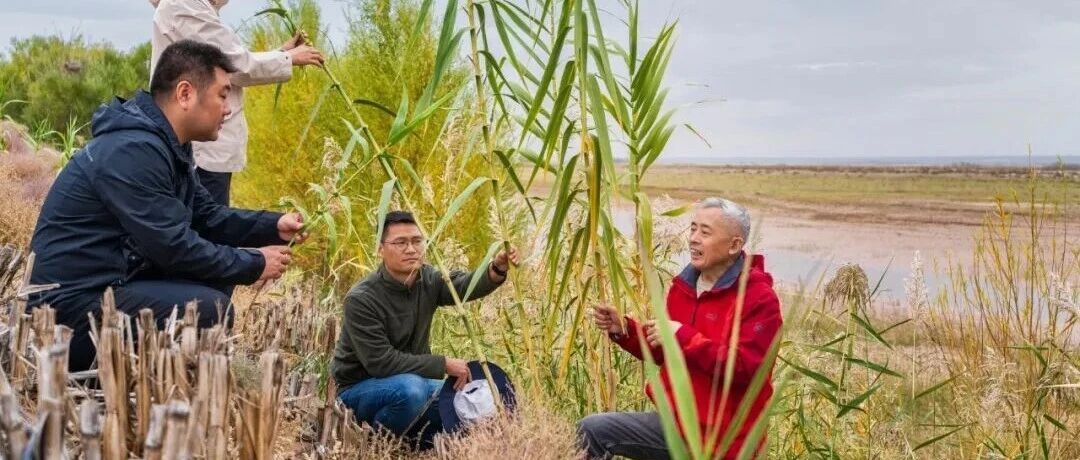 中国林业科学研究院首席科学家、三北工程研究院院长卢琦：奋力书写“三北”工程新篇章