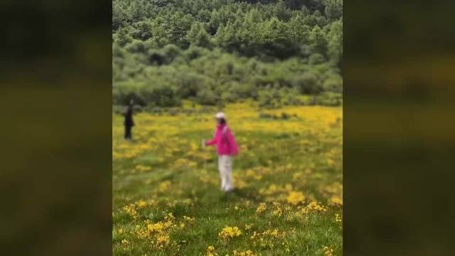 稻城亚丁多人在草甸拍照