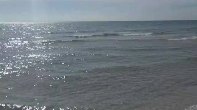 美国一飞机因故障海上迫降