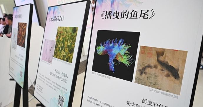 当医学影像遇见艺术!第五人民医院“医影・真镜・智绘”医学科普艺术展启幕 当医学影像遇见艺术!第五人民医院“医影・真镜・智绘”医学科普艺术展启幕