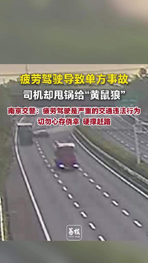 开车犯困冲进绿化带谎称躲黄鼠狼男子疲劳驾驶酿事故甩锅黄鼠狼