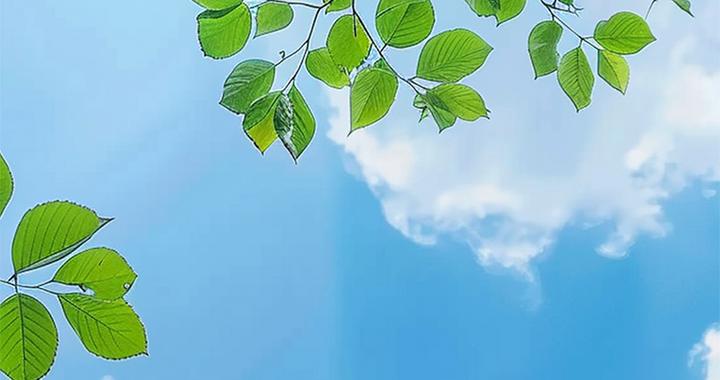 收好这4个赏云秘境！崇明的夏末，抬头就是治愈系天花板