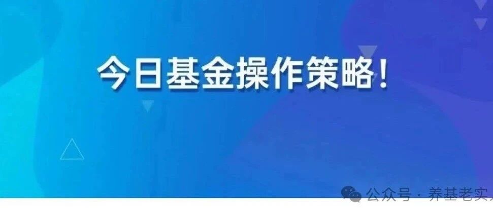 持续定投这个板块! 持续定投这个板块!