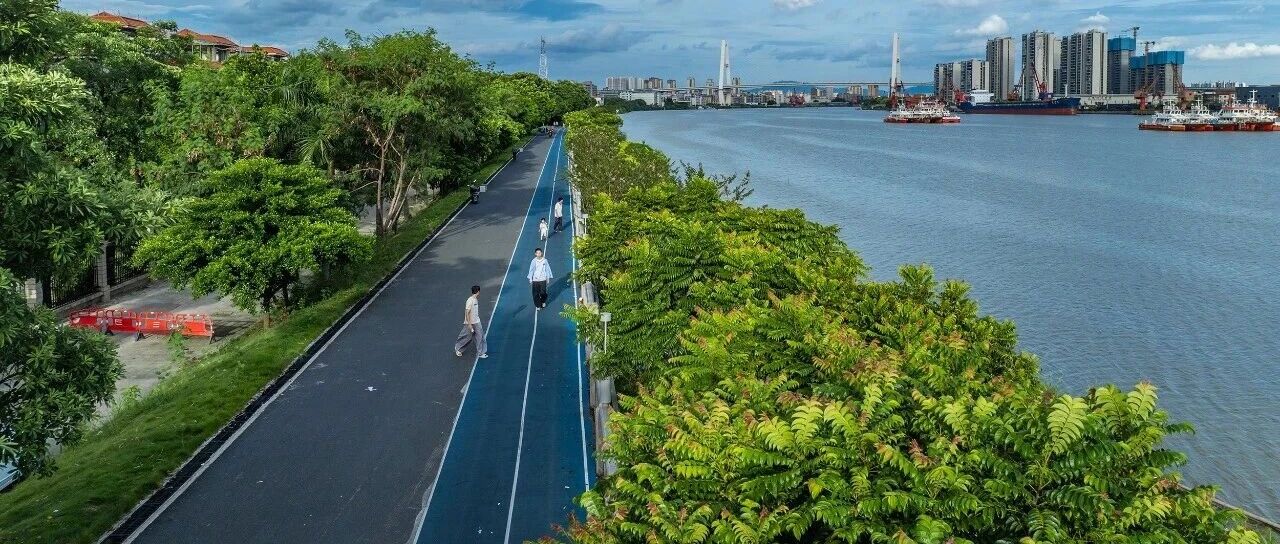 滨江旅游步道项目力争9月底完工 滨江旅游步道项目力争9月底完工