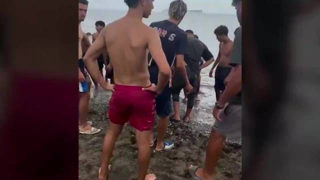 西班牙飞地移民棒击小海豚