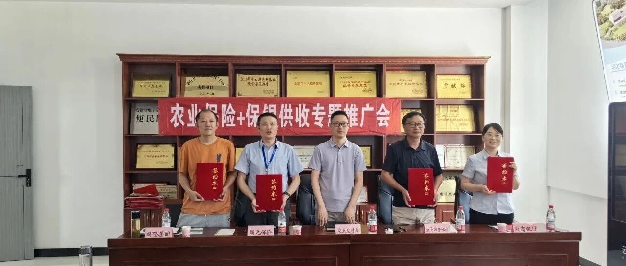 一张保单串起一条“惠农链” ——安徽省供销社“农业保险+保银供收”模式纪实 一张保单串起一条“惠农链” ——安徽省供销社“农业保险+保银供收”模式纪实