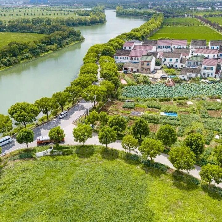 浒墅关乡村的秋天,自在刚刚好 浒墅关乡村的秋天,自在刚刚好