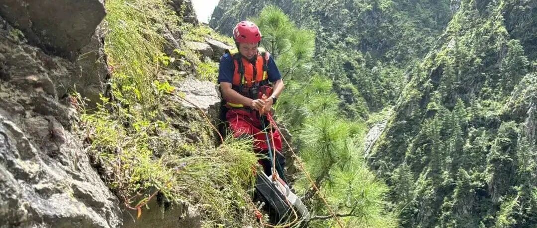 杨奇巧:绝境三闯生死关 危时两度请留守 杨奇巧:绝境三闯生死关 危时两度请留守