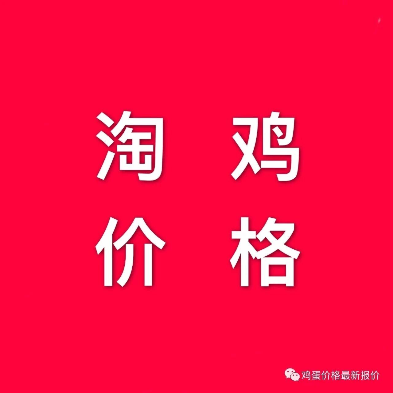 2026年9月5日淘汰鸡行情信息参考 2026年9月5日淘汰鸡行情信息参考