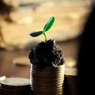干货!深交所发布4个典型会计案例! 干货!深交所发布4个典型会计案例!