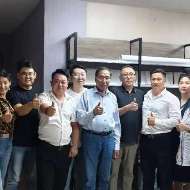 出海深耕，聚力共赢｜爱普拉新能源赴蒙古国考察，加速海外绿色能源布局