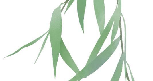 闵行“最美教师”李冬冬：“教育，是师生之间的双向奔赴”