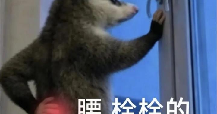 医生“转行”当教练？患者排队等“上课”！