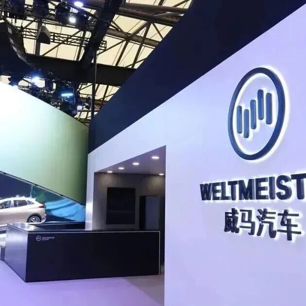 均价2.5万！某新势力库存车被拍卖