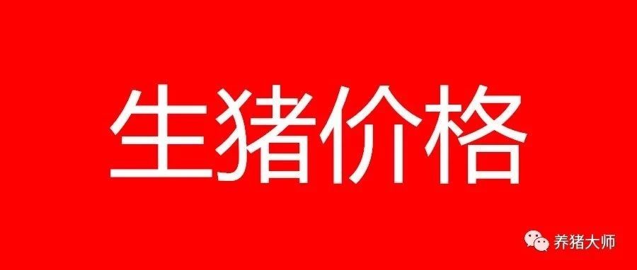 2026.9.7生猪市场信息交流 2026.9.7生猪市场信息交流