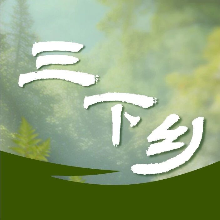 【百场精品实践活动进万家】铁锋区组织开展文化科技卫生“三下乡”集中示范活动 【百场精品实践活动进万家】铁锋区组织开展文化科技卫生“三下乡”集中示范活动