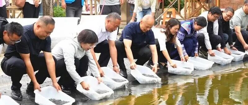40万尾本土鱼苗“安家”普者黑 公众定点放流平台揭牌护航水域生态 40万尾本土鱼苗“安家”普者黑 公众定点放流平台揭牌护航水域生态