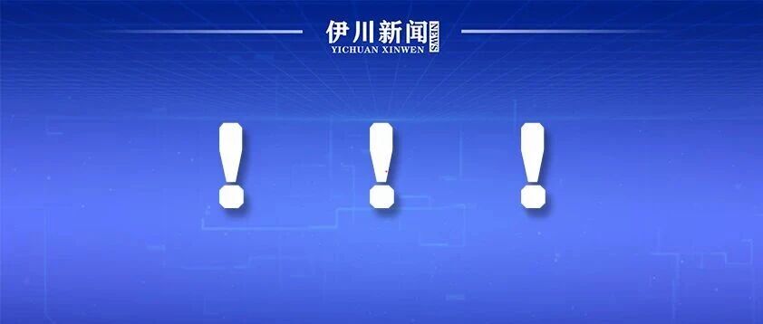伊川查获4台非法营运网约车 伊川查获4台非法营运网约车