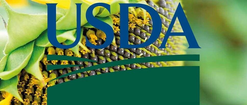 USDA:中国油籽及产品最新供需报告 USDA:中国油籽及产品最新供需报告