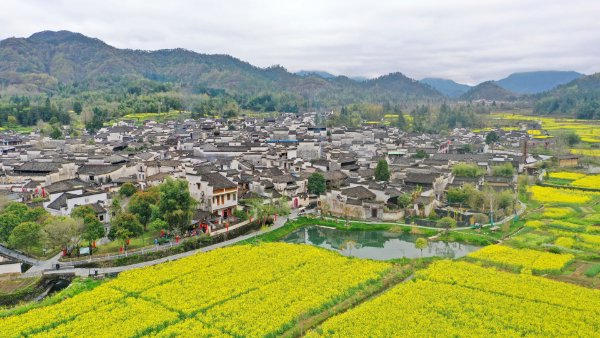 安徽强化新能源及绿色低碳企业“出海”能力 安徽强化新能源及绿色低碳企业“出海”能力