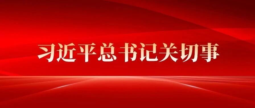 闽宁协作30年，干部人才交流合作结硕果——迢迢牵手路 悠悠山海情