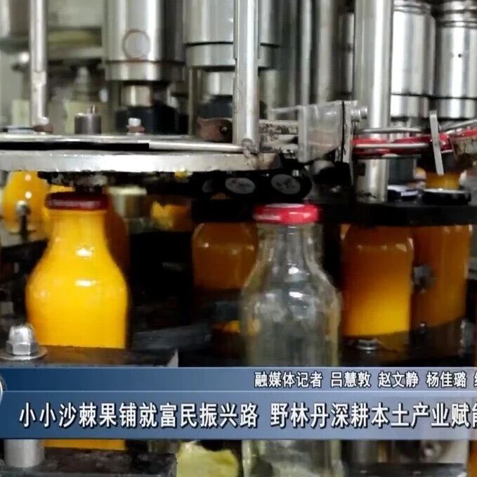 【乡村行 · 看振兴】小小沙棘果铺就富民振兴路  野林丹深耕本土产业赋能乡村发展