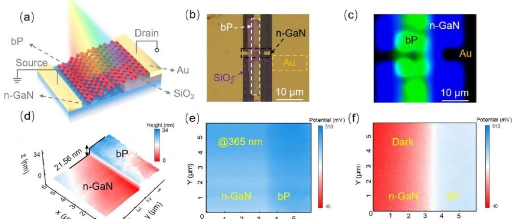 中科大孙海定教授团队AFM：新型氮化镓异质结实现宽光谱探测