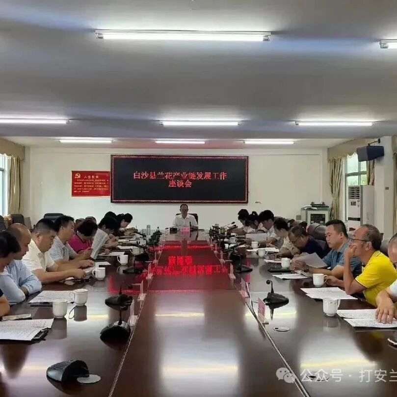 白沙每日工作动态（2026年9月11日）