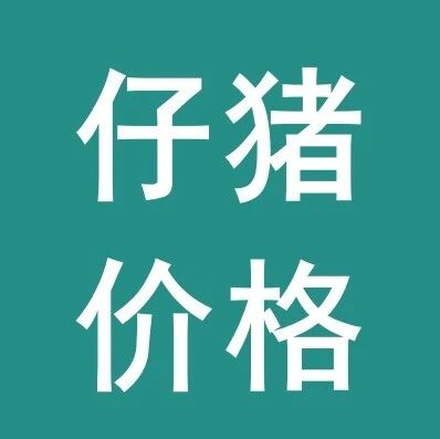 2026年9月11日仔猪市场信息参考 2026年9月11日仔猪市场信息参考