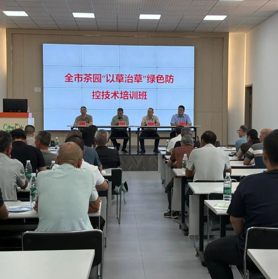 全市茶园“以草治草”绿色防控技术培训班在仁化县举办 全市茶园“以草治草”绿色防控技术培训班在仁化县举办