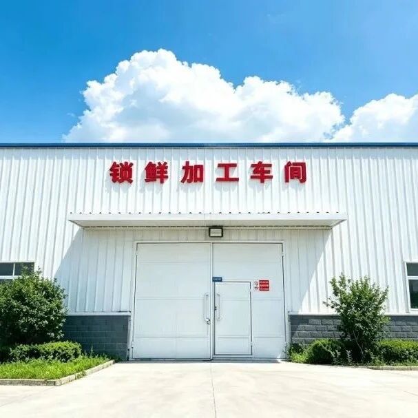 试点看银川|深耕城乡流通融合 让宁夏好物多点开花 试点看银川|深耕城乡流通融合 让宁夏好物多点开花