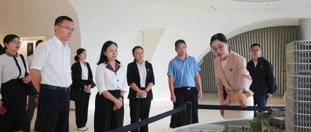 共叙山海情谊 共话协作发展 施文艳率西盟县党政代表团赴上海市黄浦区开展回访工作 共叙山海情谊 共话协作发展 施文艳率西盟县党政代表团赴上海市黄浦区开展回访工作