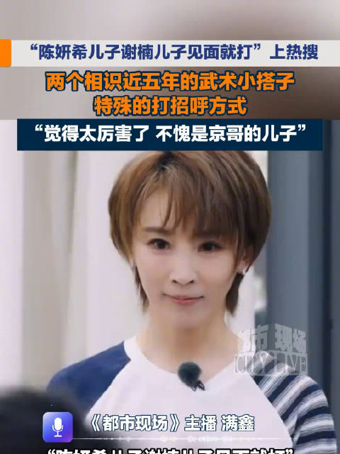 陈妍希儿子和谢楠儿子是武术小搭子